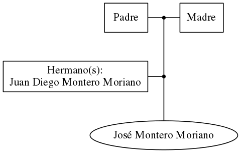 This is a graph with borders and nodes. Maybe there is an Imagemap used so the nodes may be linking to some Pages.