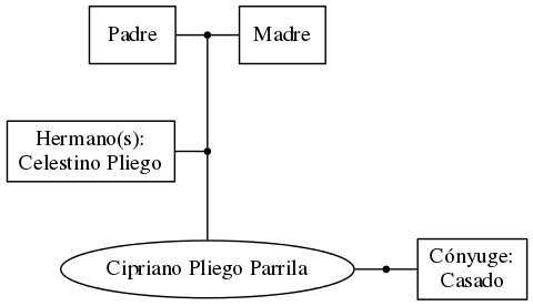 This is a graph with borders and nodes. Maybe there is an Imagemap used so the nodes may be linking to some Pages.