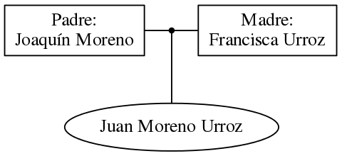 This is a graph with borders and nodes. Maybe there is an Imagemap used so the nodes may be linking to some Pages.