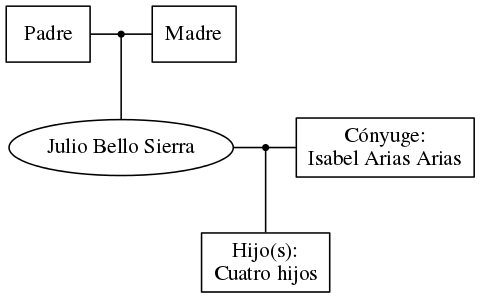 This is a graph with borders and nodes. Maybe there is an Imagemap used so the nodes may be linking to some Pages.