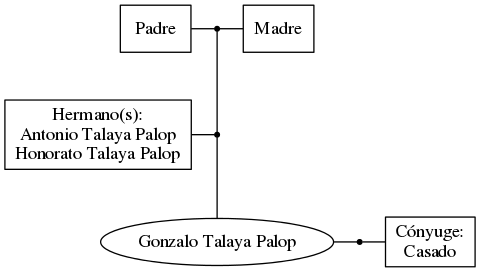 This is a graph with borders and nodes. Maybe there is an Imagemap used so the nodes may be linking to some Pages.