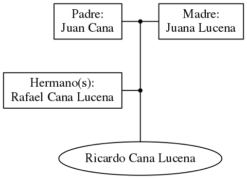 This is a graph with borders and nodes. Maybe there is an Imagemap used so the nodes may be linking to some Pages.