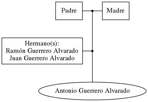 This is a graph with borders and nodes. Maybe there is an Imagemap used so the nodes may be linking to some Pages.