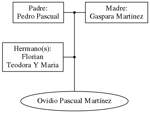 This is a graph with borders and nodes. Maybe there is an Imagemap used so the nodes may be linking to some Pages.