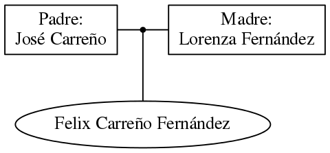 This is a graph with borders and nodes. Maybe there is an Imagemap used so the nodes may be linking to some Pages.