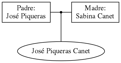 This is a graph with borders and nodes. Maybe there is an Imagemap used so the nodes may be linking to some Pages.