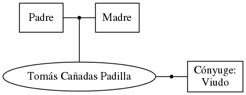 This is a graph with borders and nodes. Maybe there is an Imagemap used so the nodes may be linking to some Pages.