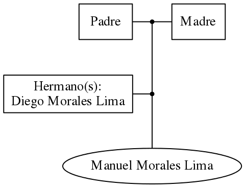 This is a graph with borders and nodes. Maybe there is an Imagemap used so the nodes may be linking to some Pages.