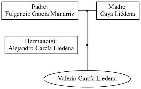 This is a graph with borders and nodes. Maybe there is an Imagemap used so the nodes may be linking to some Pages.