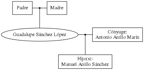 This is a graph with borders and nodes. Maybe there is an Imagemap used so the nodes may be linking to some Pages.