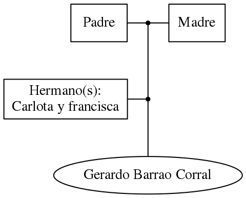 This is a graph with borders and nodes. Maybe there is an Imagemap used so the nodes may be linking to some Pages.