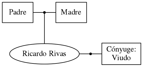 This is a graph with borders and nodes. Maybe there is an Imagemap used so the nodes may be linking to some Pages.