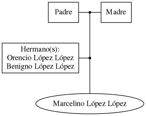 This is a graph with borders and nodes. Maybe there is an Imagemap used so the nodes may be linking to some Pages.