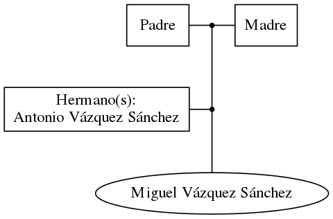 This is a graph with borders and nodes. Maybe there is an Imagemap used so the nodes may be linking to some Pages.