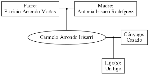 This is a graph with borders and nodes. Maybe there is an Imagemap used so the nodes may be linking to some Pages.