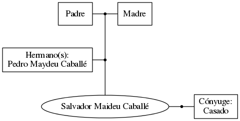 This is a graph with borders and nodes. Maybe there is an Imagemap used so the nodes may be linking to some Pages.