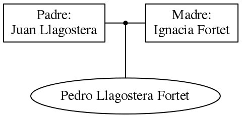 This is a graph with borders and nodes. Maybe there is an Imagemap used so the nodes may be linking to some Pages.