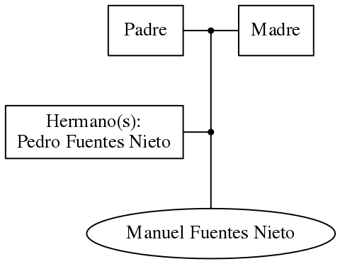 This is a graph with borders and nodes. Maybe there is an Imagemap used so the nodes may be linking to some Pages.