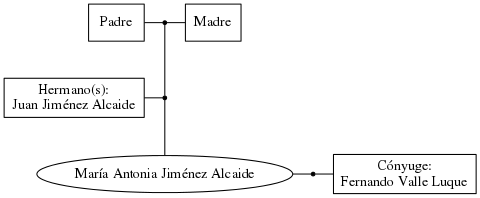 This is a graph with borders and nodes. Maybe there is an Imagemap used so the nodes may be linking to some Pages.