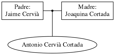 This is a graph with borders and nodes. Maybe there is an Imagemap used so the nodes may be linking to some Pages.