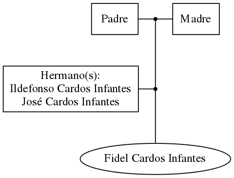 This is a graph with borders and nodes. Maybe there is an Imagemap used so the nodes may be linking to some Pages.