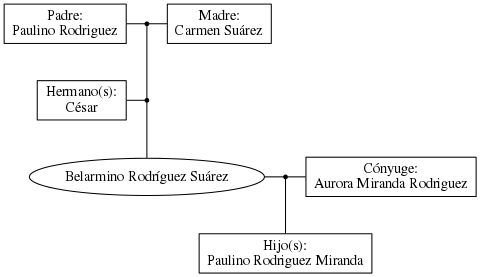 This is a graph with borders and nodes. Maybe there is an Imagemap used so the nodes may be linking to some Pages.