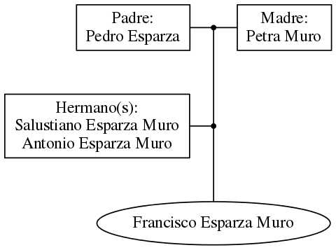 This is a graph with borders and nodes. Maybe there is an Imagemap used so the nodes may be linking to some Pages.