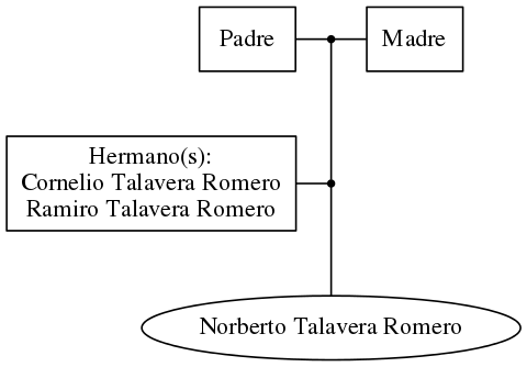 This is a graph with borders and nodes. Maybe there is an Imagemap used so the nodes may be linking to some Pages.