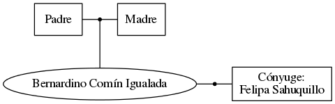 This is a graph with borders and nodes. Maybe there is an Imagemap used so the nodes may be linking to some Pages.