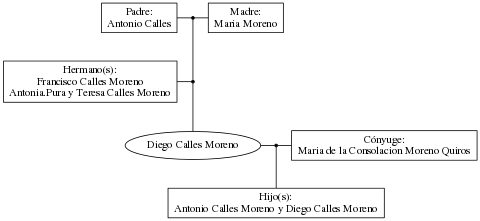 This is a graph with borders and nodes. Maybe there is an Imagemap used so the nodes may be linking to some Pages.