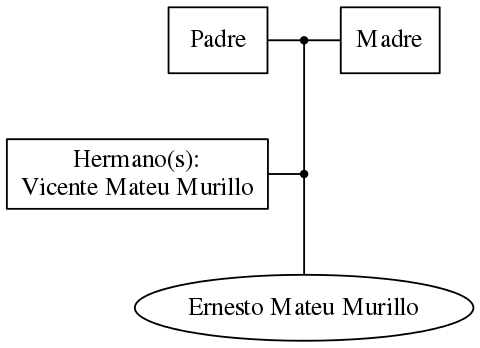 This is a graph with borders and nodes. Maybe there is an Imagemap used so the nodes may be linking to some Pages.