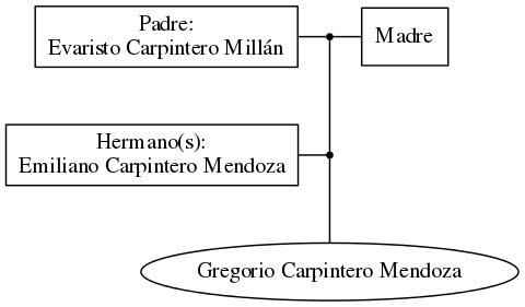 This is a graph with borders and nodes. Maybe there is an Imagemap used so the nodes may be linking to some Pages.