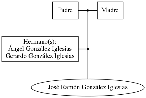 This is a graph with borders and nodes. Maybe there is an Imagemap used so the nodes may be linking to some Pages.