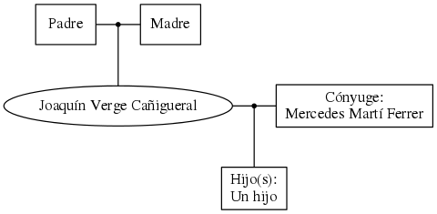 This is a graph with borders and nodes. Maybe there is an Imagemap used so the nodes may be linking to some Pages.