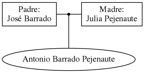 This is a graph with borders and nodes. Maybe there is an Imagemap used so the nodes may be linking to some Pages.