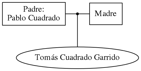 This is a graph with borders and nodes. Maybe there is an Imagemap used so the nodes may be linking to some Pages.