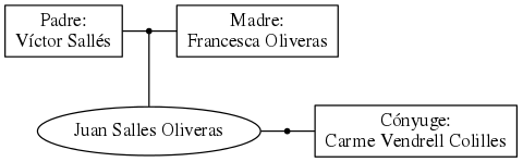 This is a graph with borders and nodes. Maybe there is an Imagemap used so the nodes may be linking to some Pages.