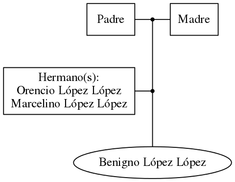 This is a graph with borders and nodes. Maybe there is an Imagemap used so the nodes may be linking to some Pages.