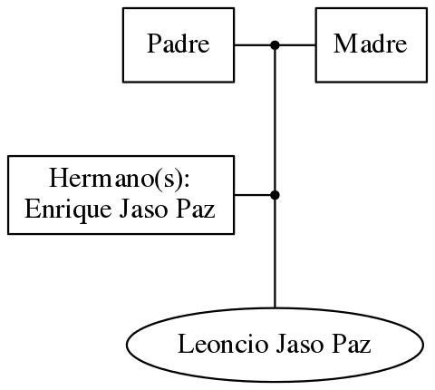 This is a graph with borders and nodes. Maybe there is an Imagemap used so the nodes may be linking to some Pages.