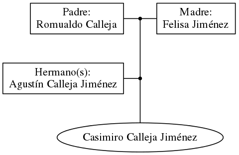 This is a graph with borders and nodes. Maybe there is an Imagemap used so the nodes may be linking to some Pages.