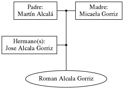 This is a graph with borders and nodes. Maybe there is an Imagemap used so the nodes may be linking to some Pages.