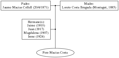 This is a graph with borders and nodes. Maybe there is an Imagemap used so the nodes may be linking to some Pages.