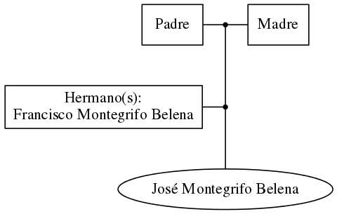 This is a graph with borders and nodes. Maybe there is an Imagemap used so the nodes may be linking to some Pages.