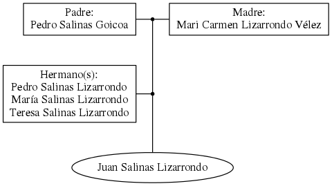 This is a graph with borders and nodes. Maybe there is an Imagemap used so the nodes may be linking to some Pages.