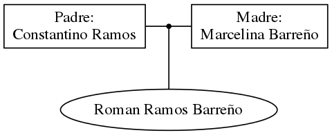 This is a graph with borders and nodes. Maybe there is an Imagemap used so the nodes may be linking to some Pages.