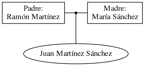 This is a graph with borders and nodes. Maybe there is an Imagemap used so the nodes may be linking to some Pages.