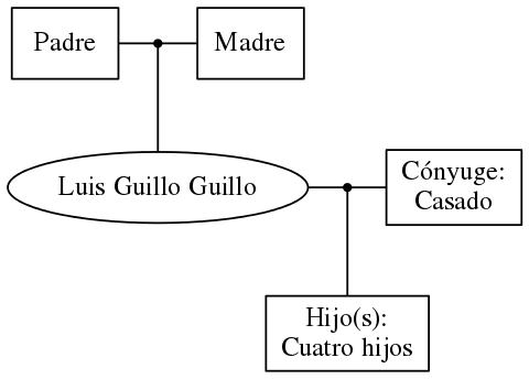 This is a graph with borders and nodes. Maybe there is an Imagemap used so the nodes may be linking to some Pages.