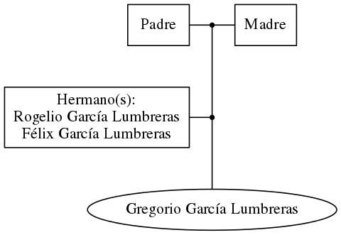 This is a graph with borders and nodes. Maybe there is an Imagemap used so the nodes may be linking to some Pages.