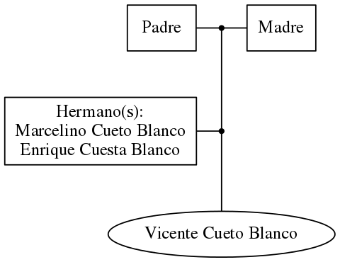 This is a graph with borders and nodes. Maybe there is an Imagemap used so the nodes may be linking to some Pages.