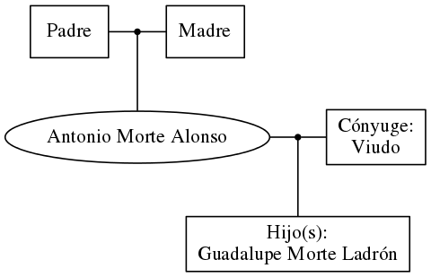 This is a graph with borders and nodes. Maybe there is an Imagemap used so the nodes may be linking to some Pages.